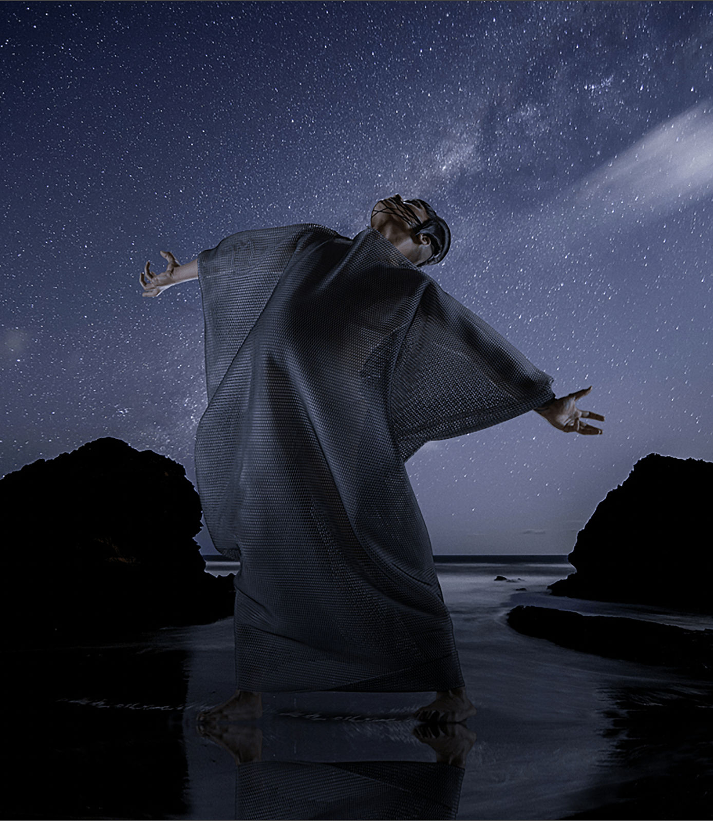 Lisa Reihana, Tane, 2019