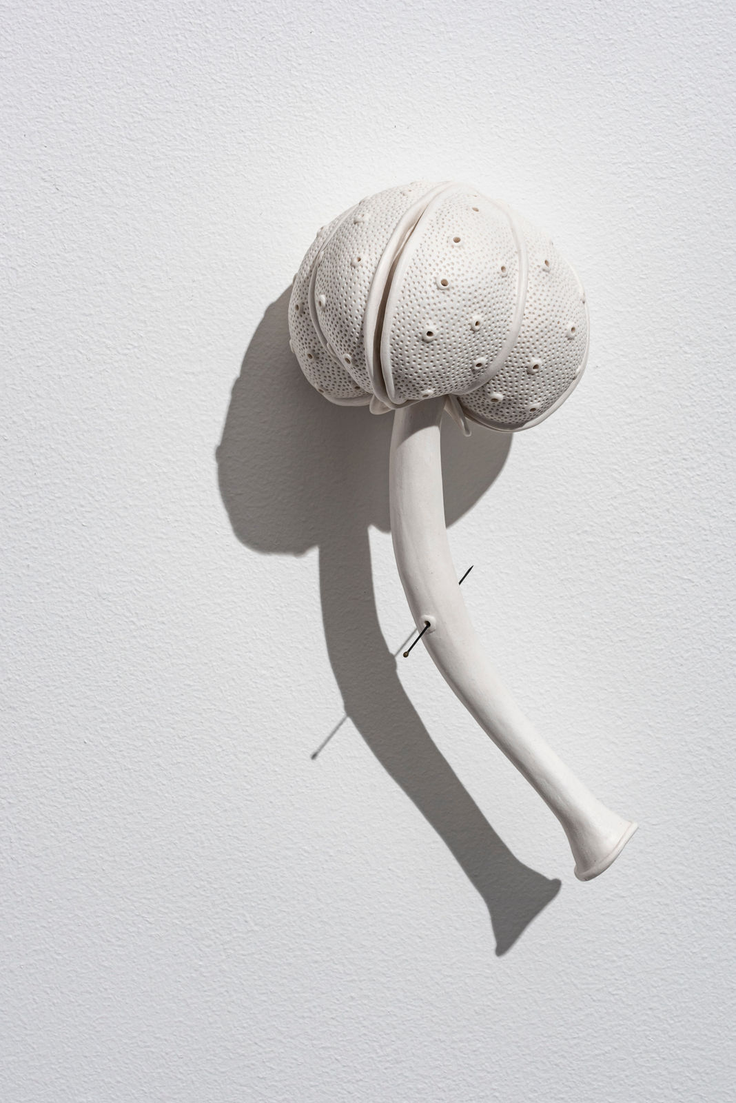 Sarah Rayner, Distance of a Whisper … Group C, 2023