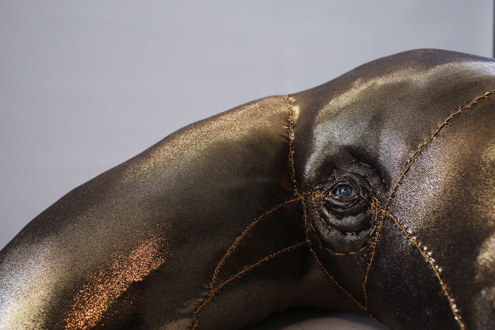 Tarryn Gill, Limber 7, 2022