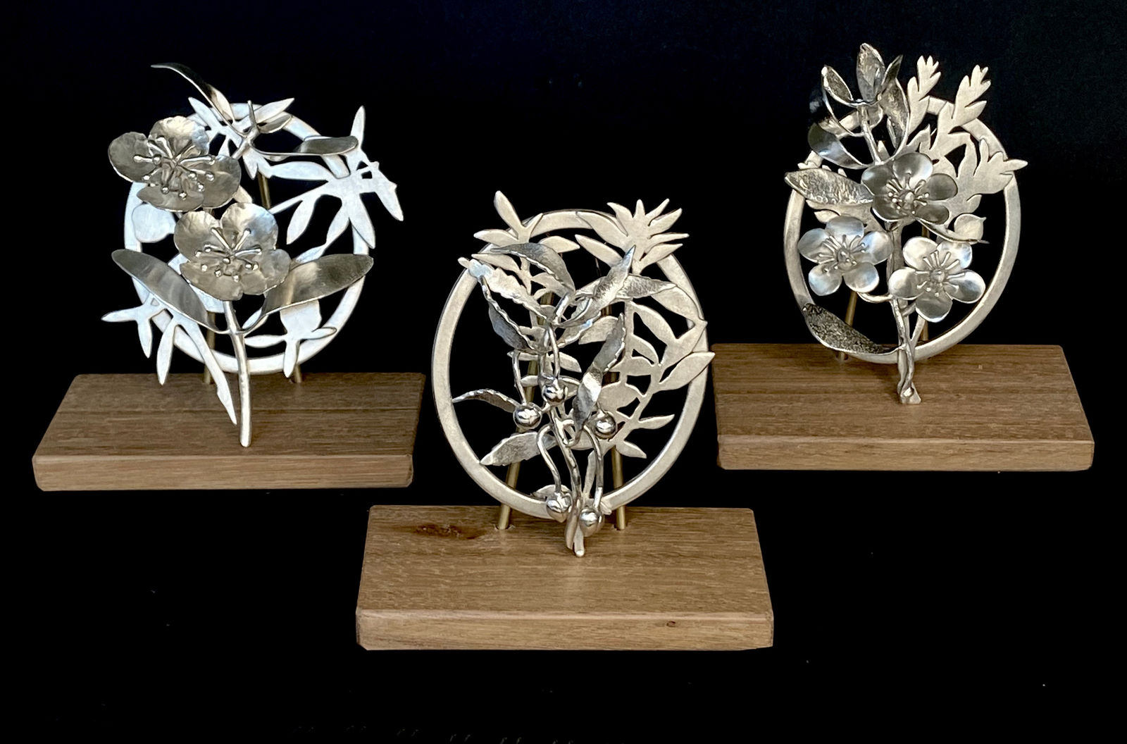 Sophie Carnell, Leatherwood / Eucryphia lucida, 2025