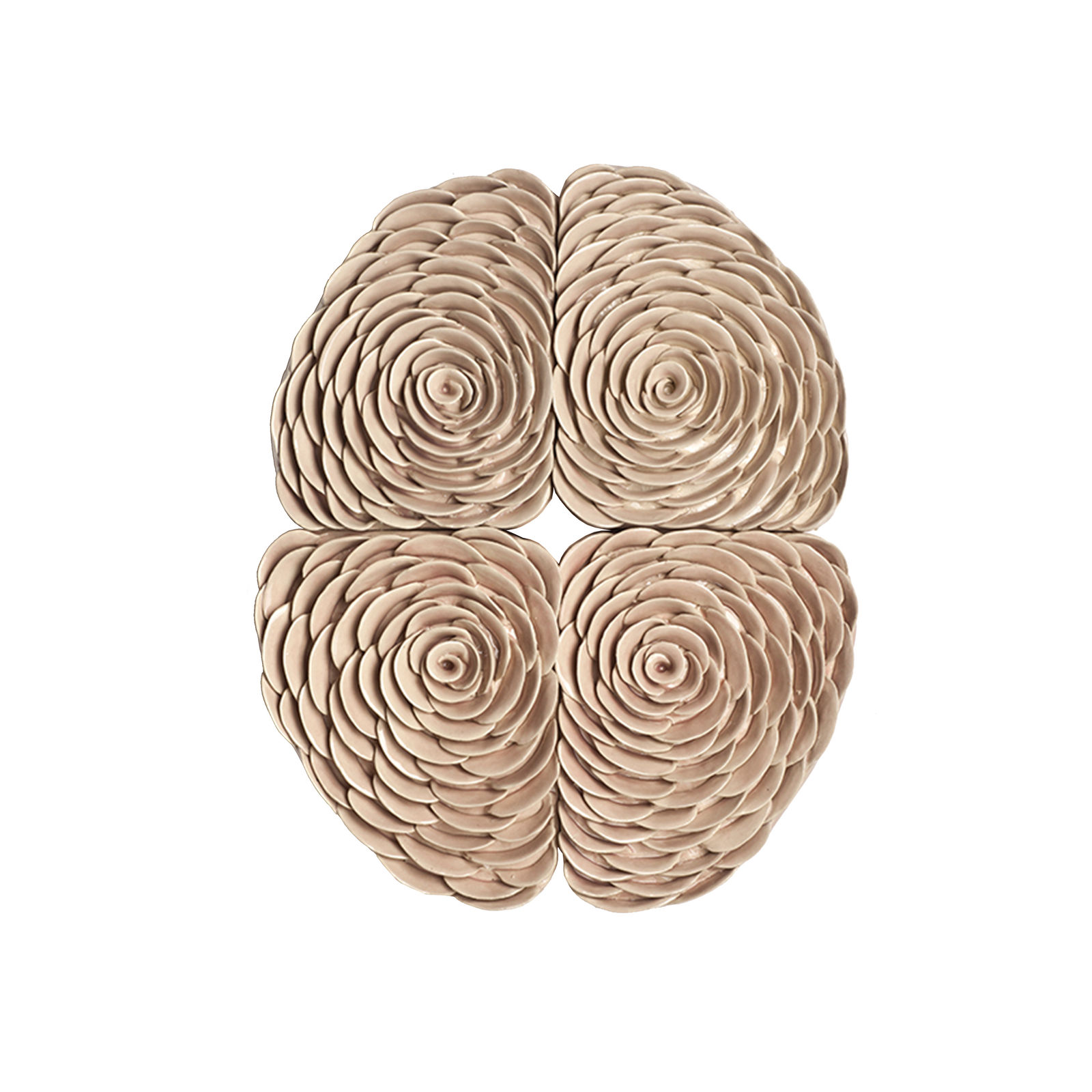 Angela Valamanesh, Untitled, 2021