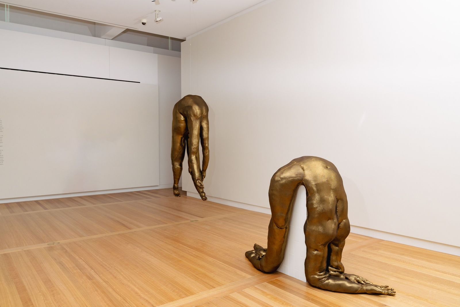 Tarryn Gill, Limber 7, 2022