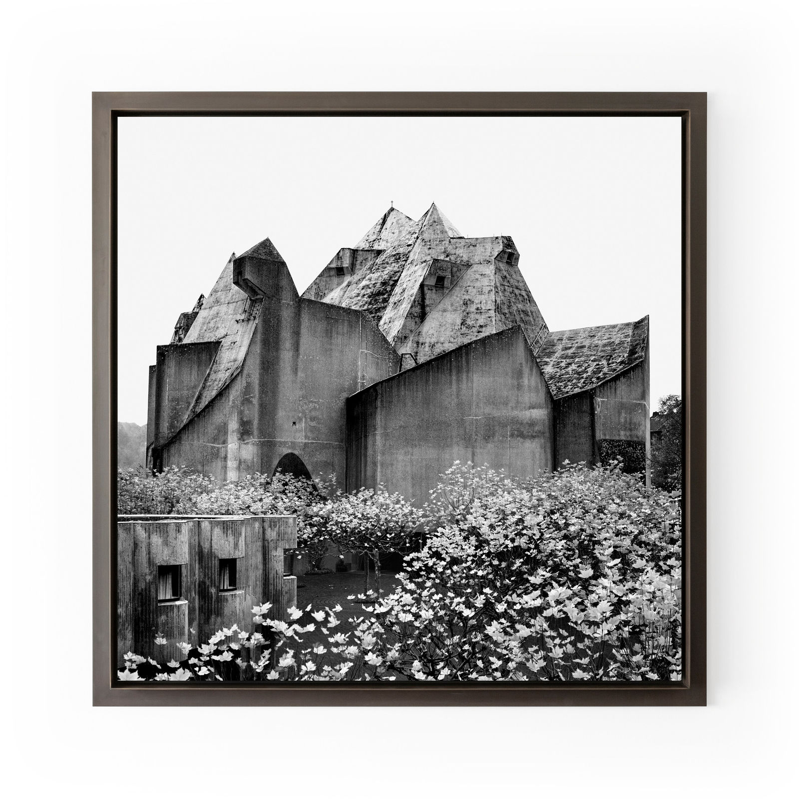 Don Cameron, Alternate* Neviges, 2020