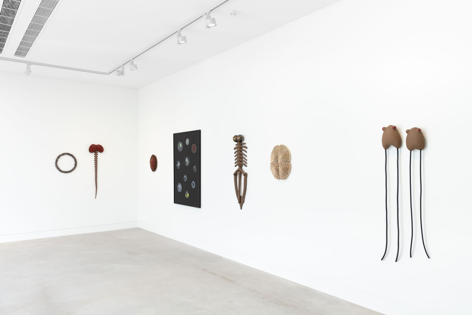 Angela Valamanesh, Little creatures, A, 2021