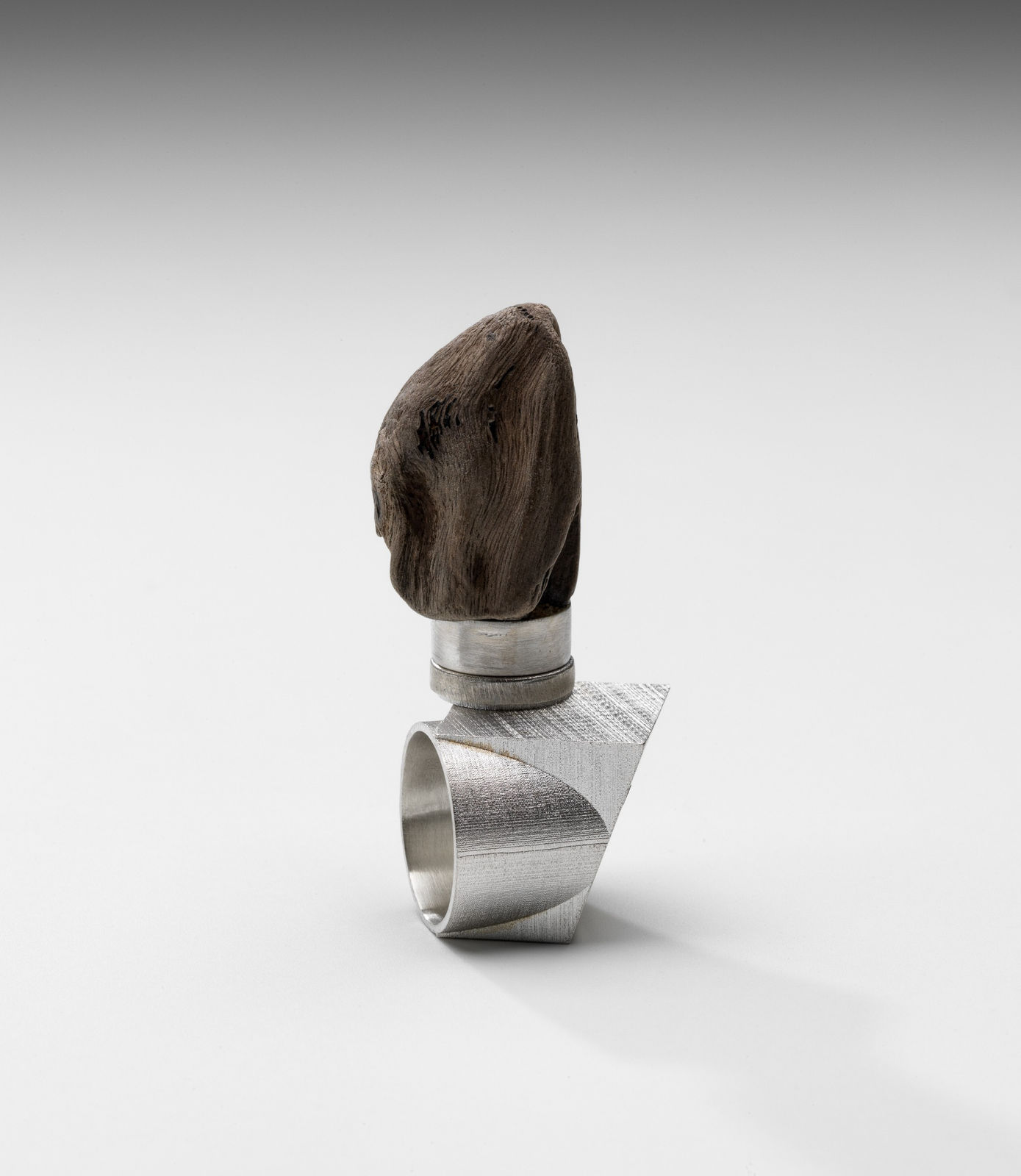 Kyoko Hashimoto and Guy Keulemans, Bioregional Rings (Sydney Basin), 2021