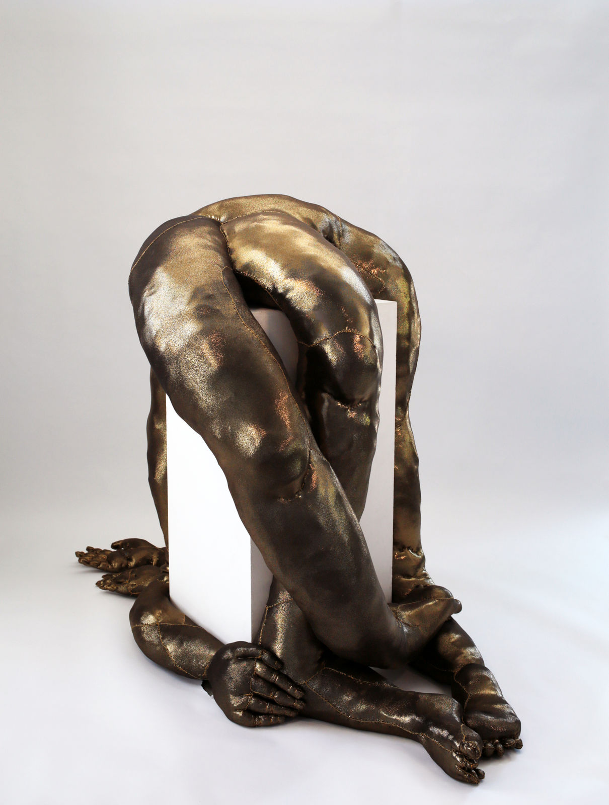 Tarryn Gill, Limber 7, 2022