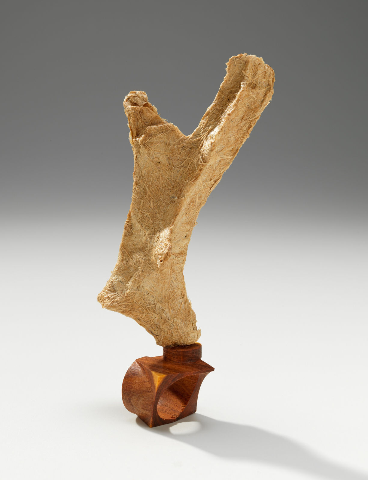 Kyoko Hashimoto and Guy Keulemans, Bioregional rings (Northern Flinders subregion), 2024