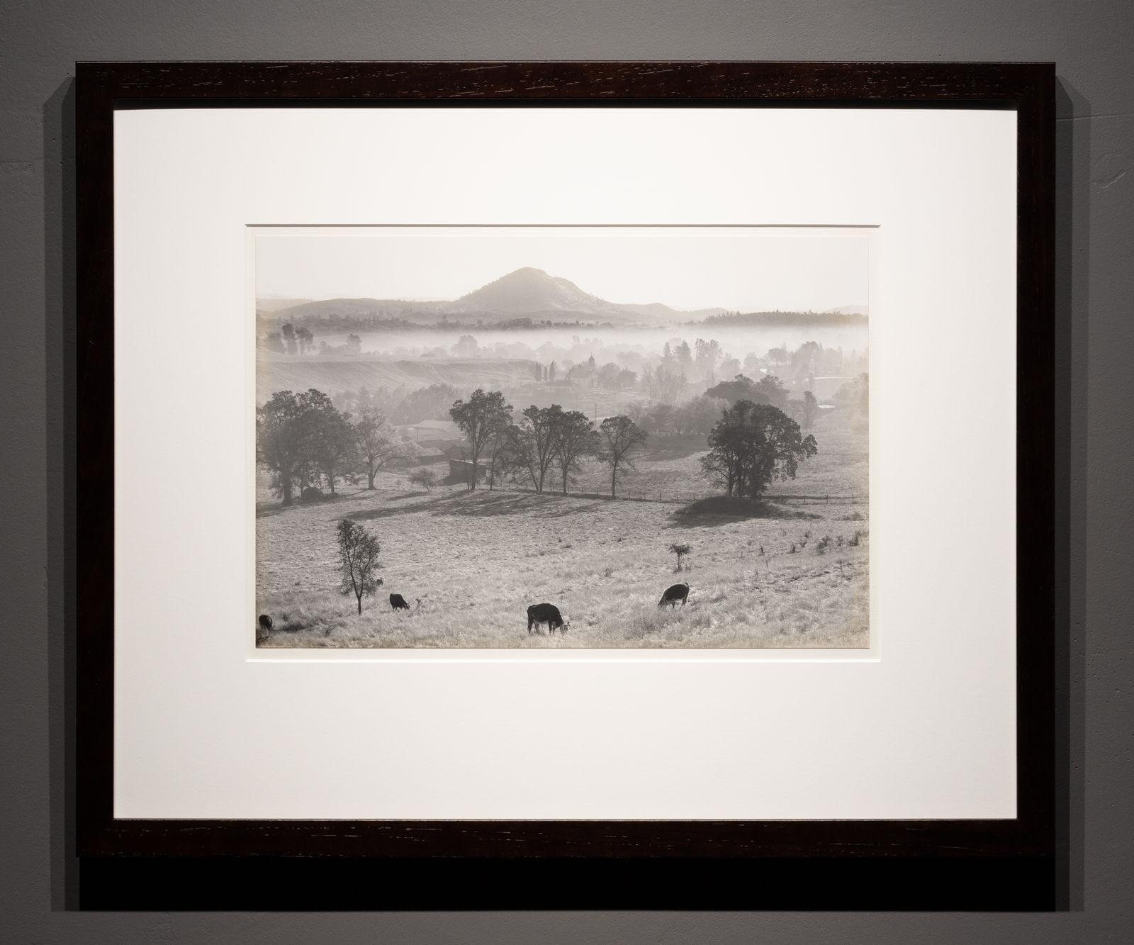 Pirkle Jones, Landscape, Jackson, CA, 1948