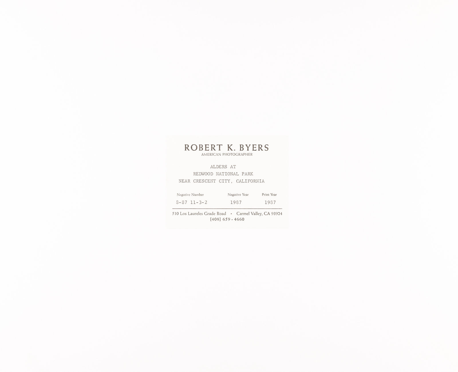 Robert K. Byers, Alders at Redwood NP Near Crescent City, CA, 1987