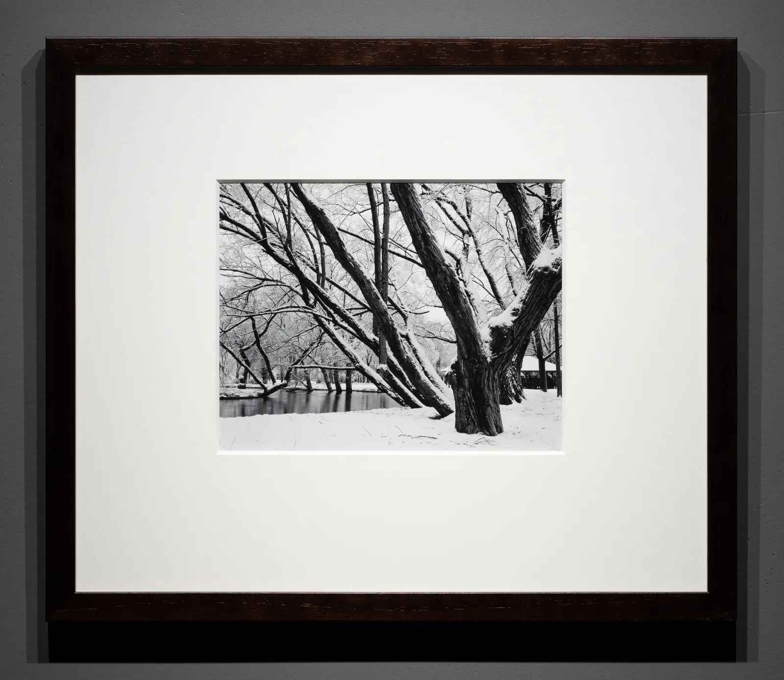 William B. Giles, Snow and Trees , 1962