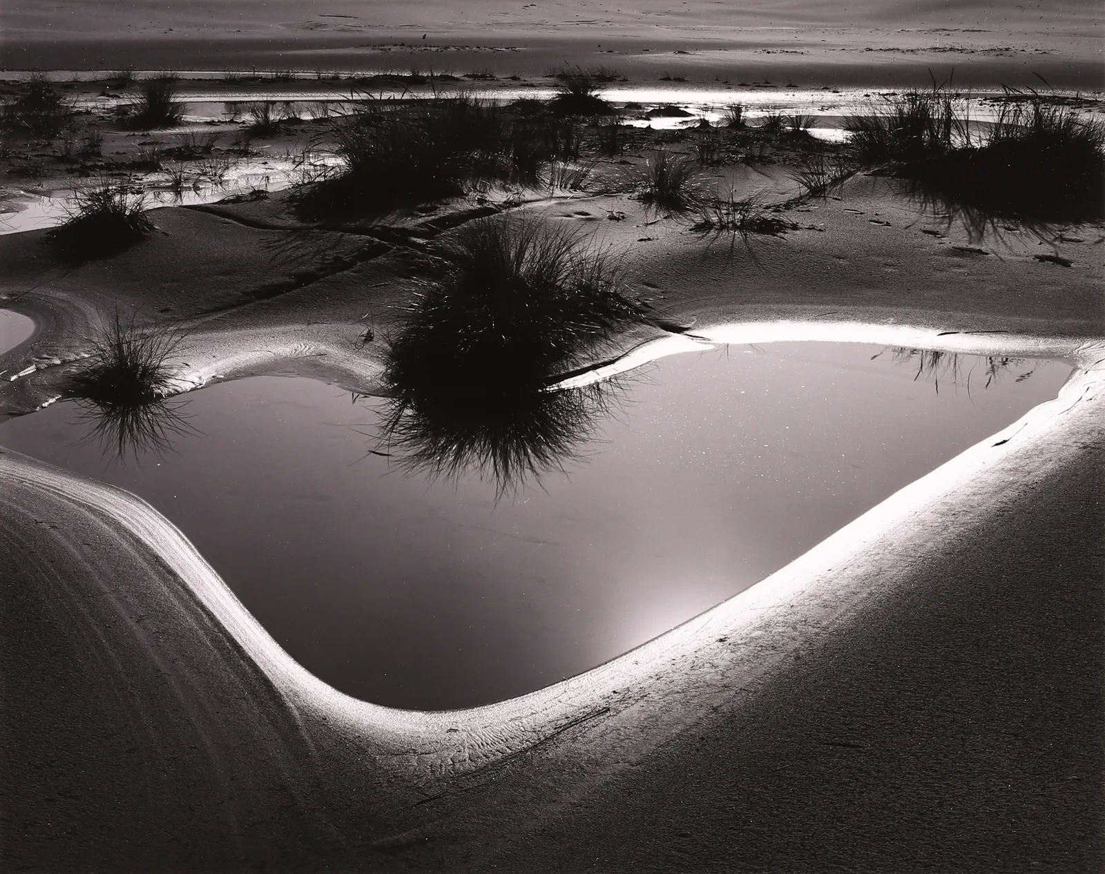 Brett Weston, Tide Pool, Oregon, 1974