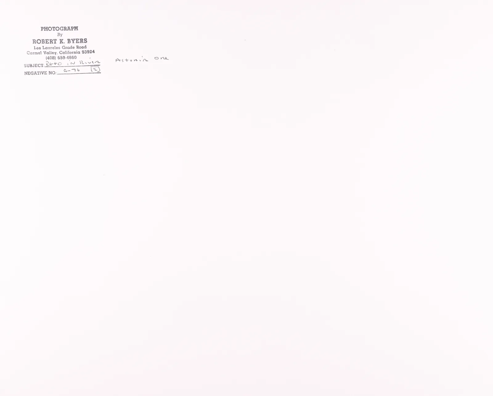 Robert K. Byers, Reeds in River, Astoria, Oregon, 1976