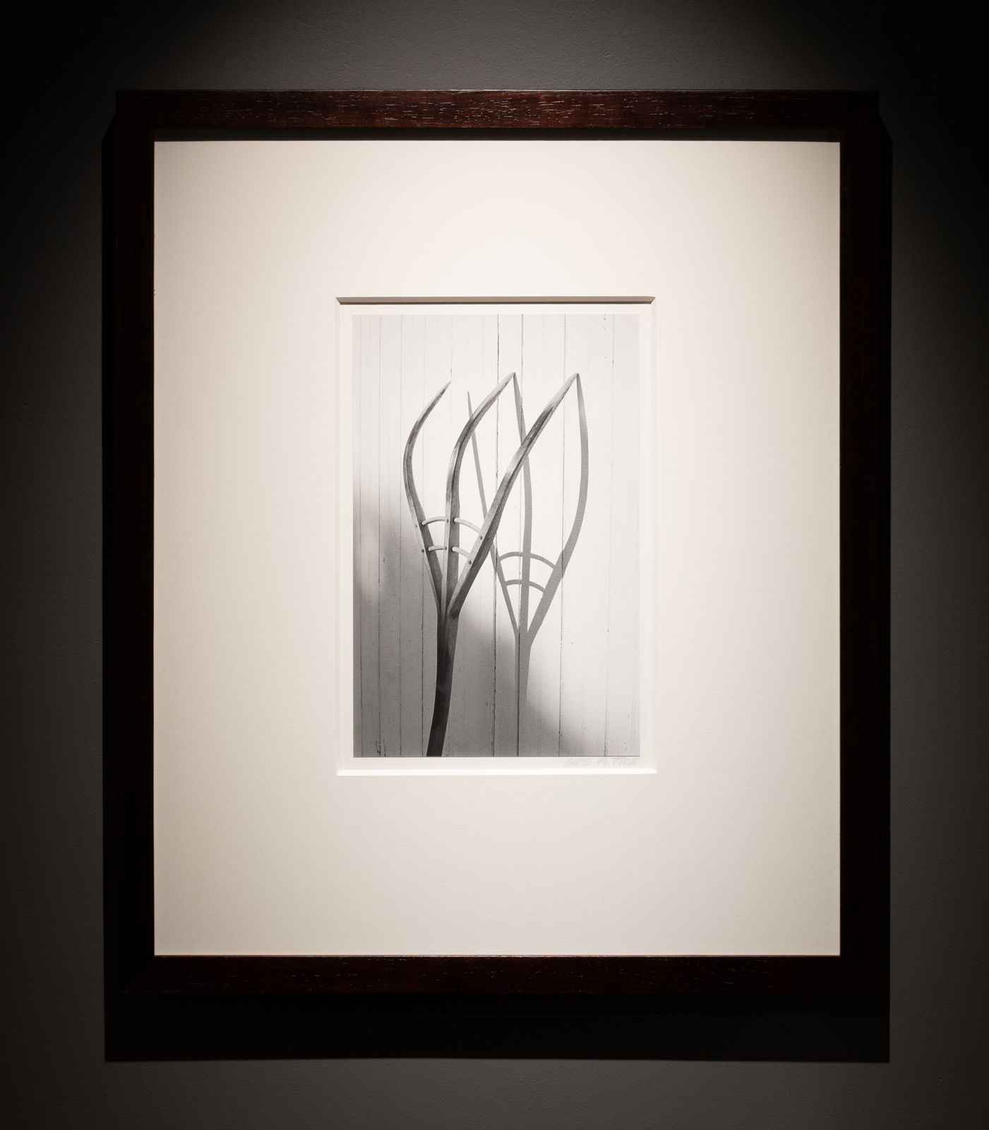 George Tice, Pitchfork, Amish Series, 1968