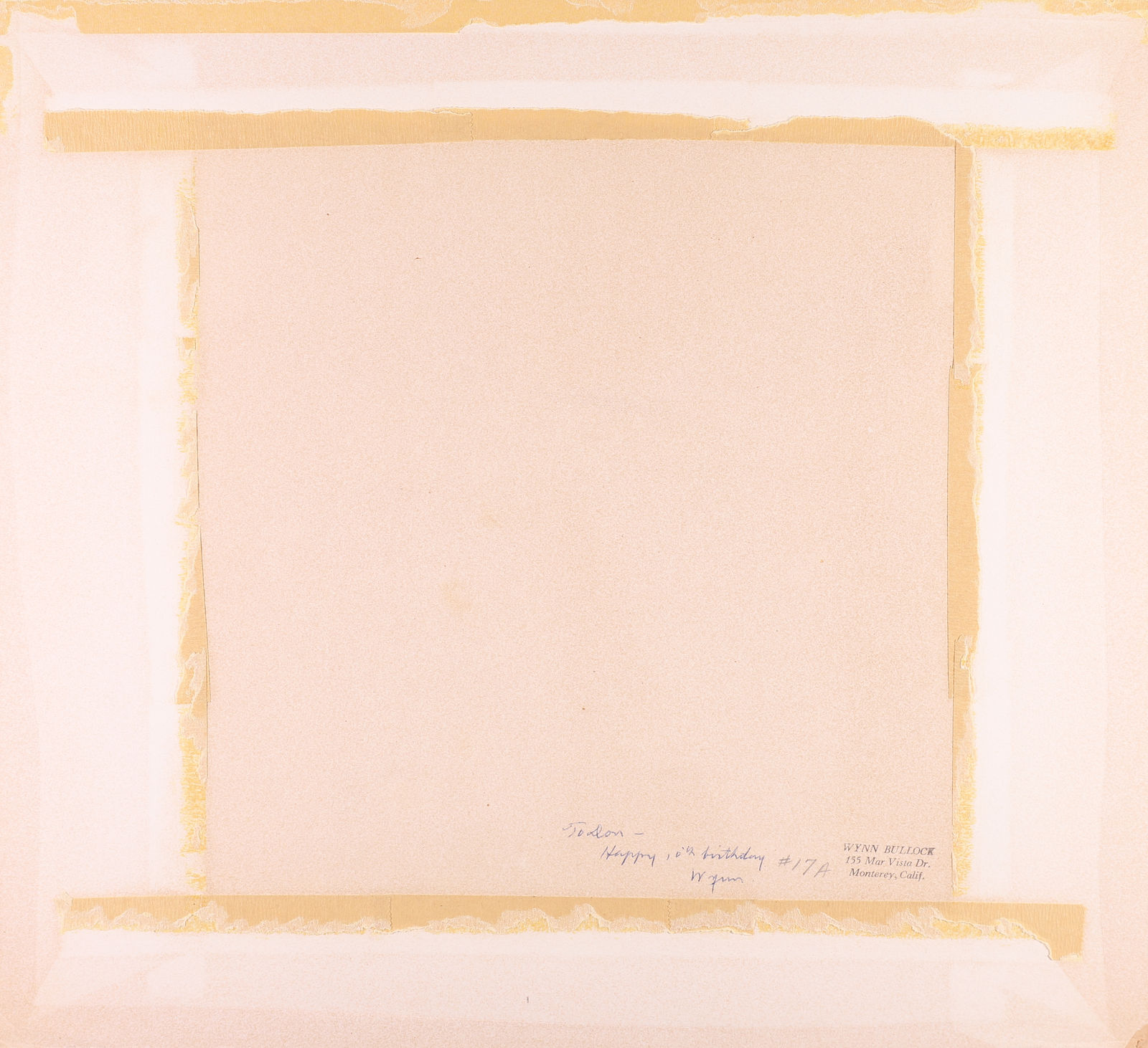 Wynn Bullock, Child in Forest, 1951