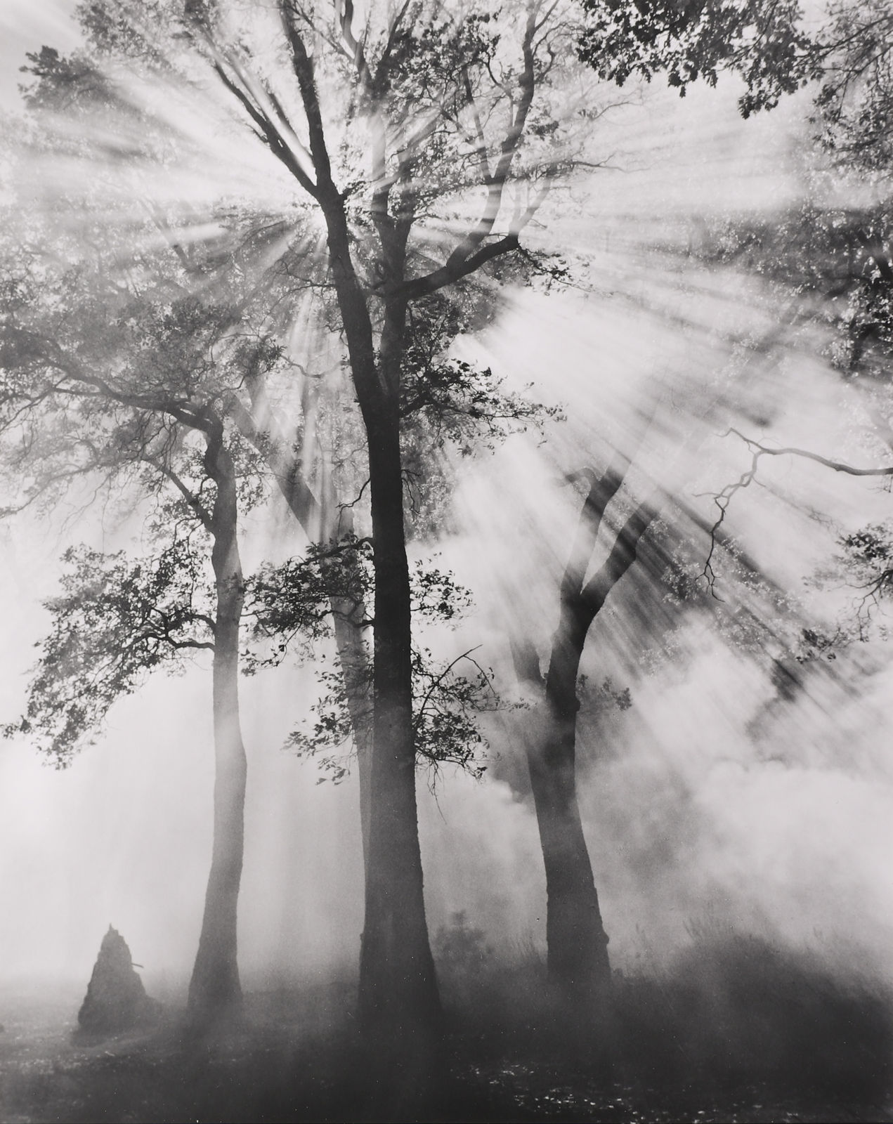 Bob Kolbrener, Controlled Burn #1, 1999