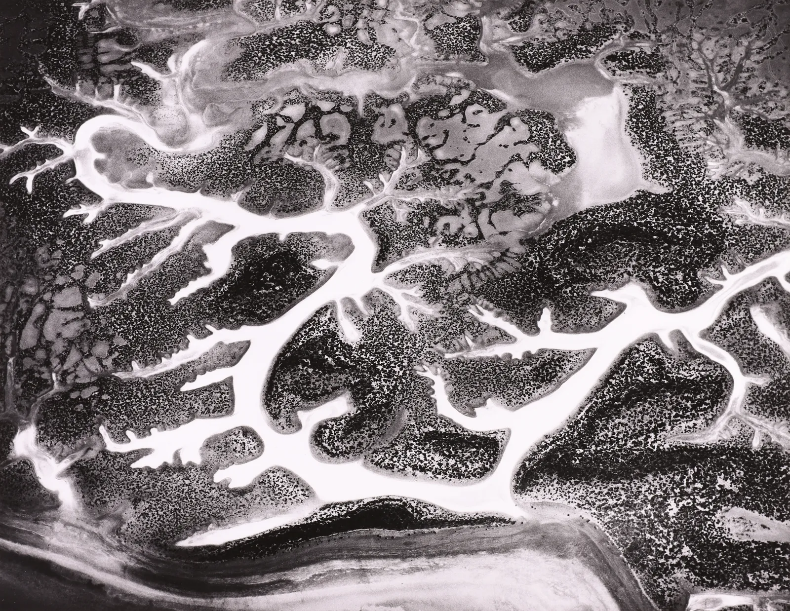 William Garnett, California, 1975