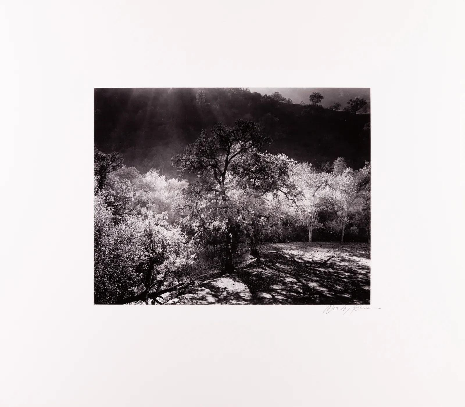 Morley Baer, Priest Valley, Coalinga, CA, 1977