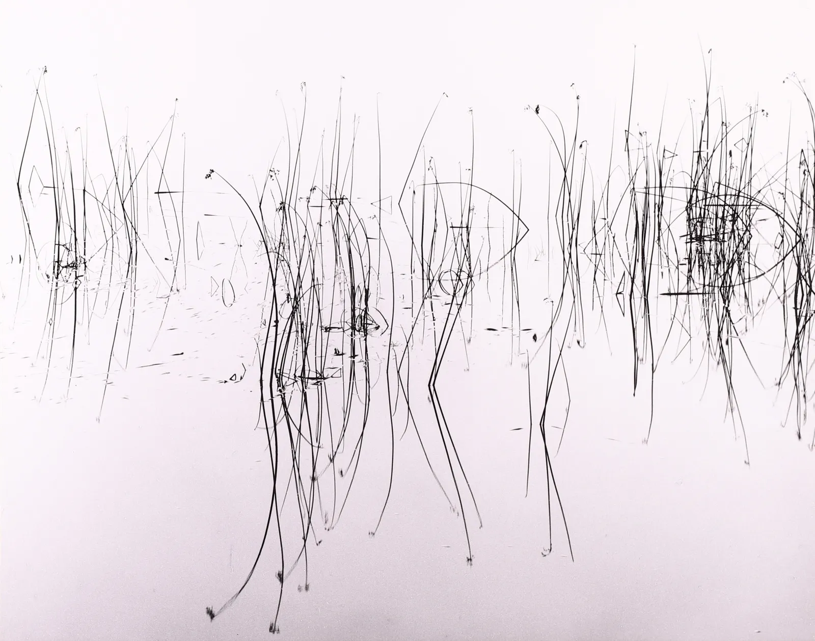 Robert K. Byers, Reeds in River, Astoria, Oregon, 1976