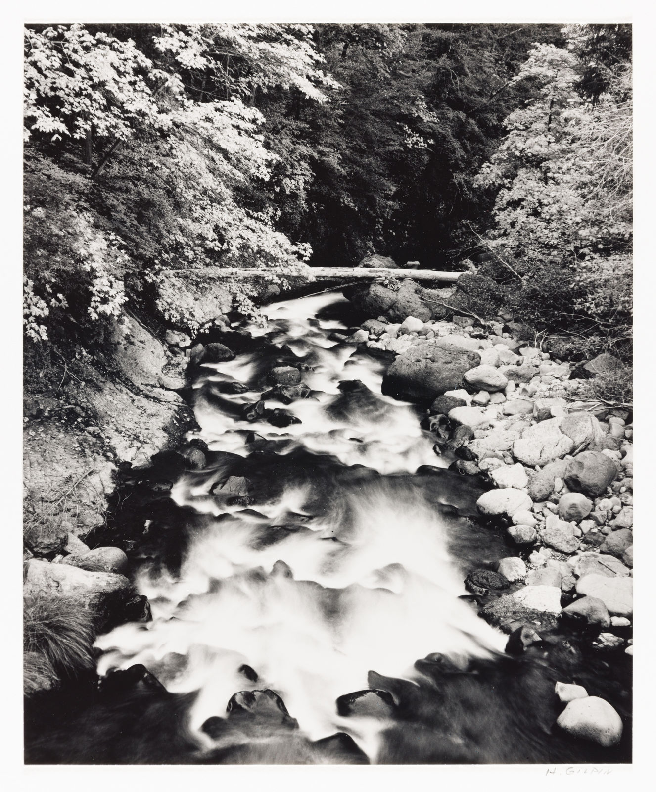 Henry Gilpin, Deer Creek, Yosemite, 1989