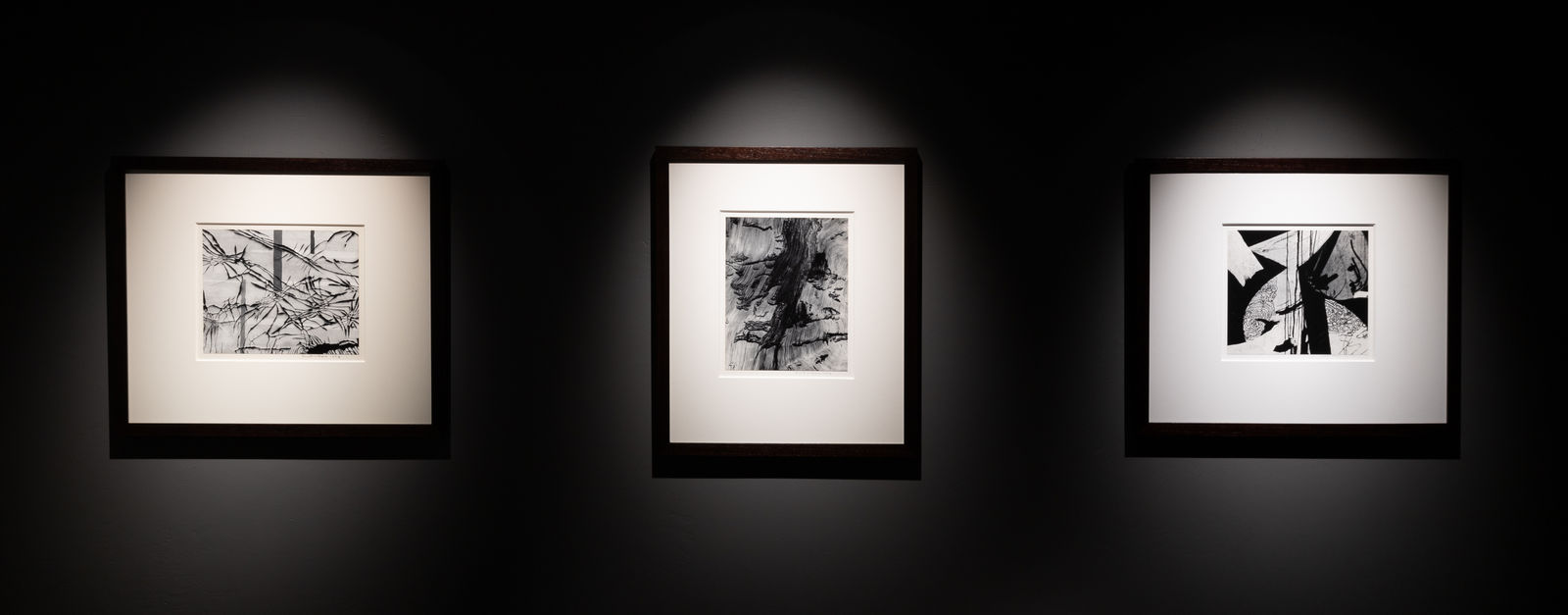 Robert K. Byers, Bristlecone Pine, White Mountains, California, 1974