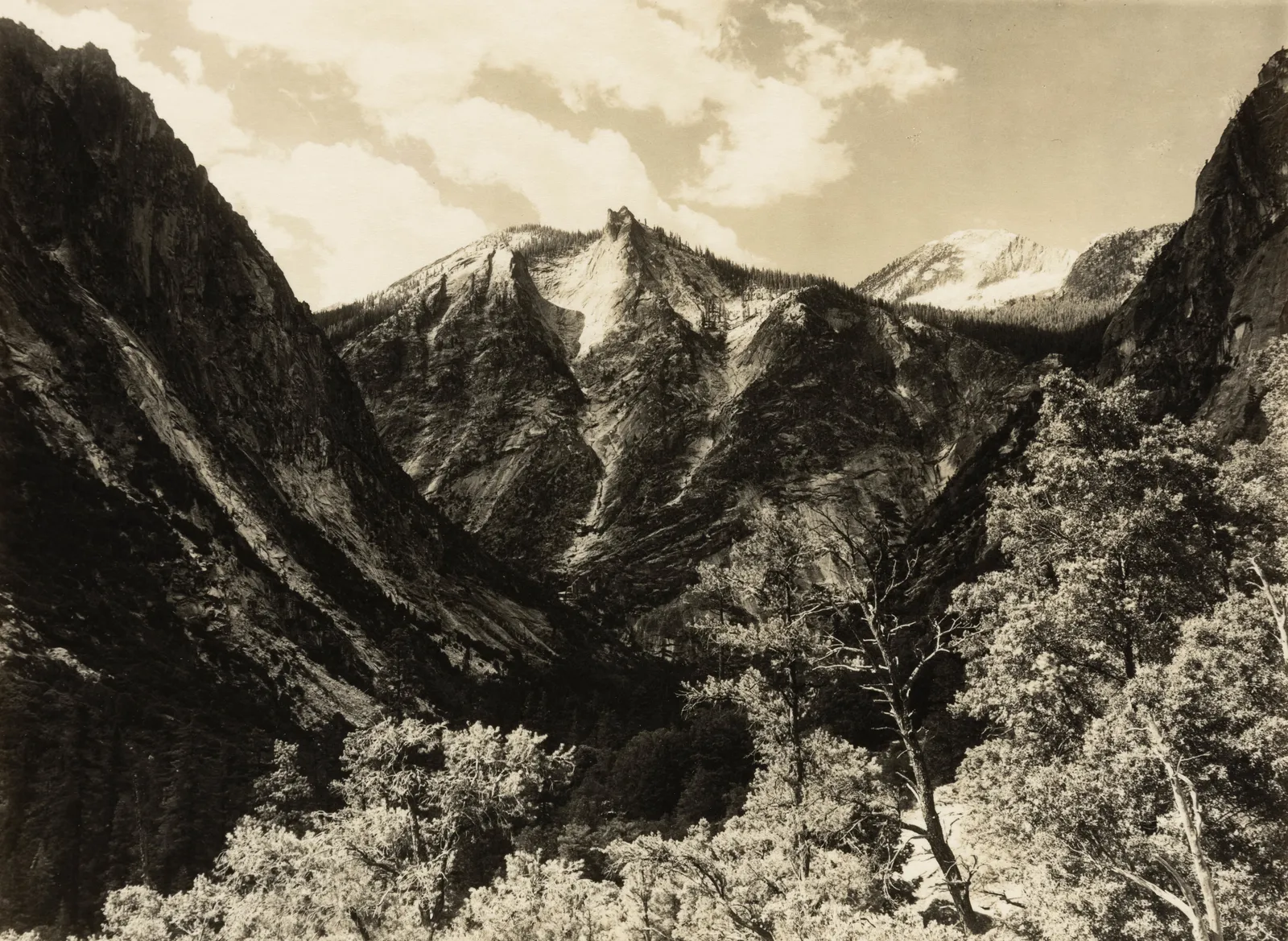 Ansel Adams, Lower Paradise Valley, Southern Sierra, c. 1925