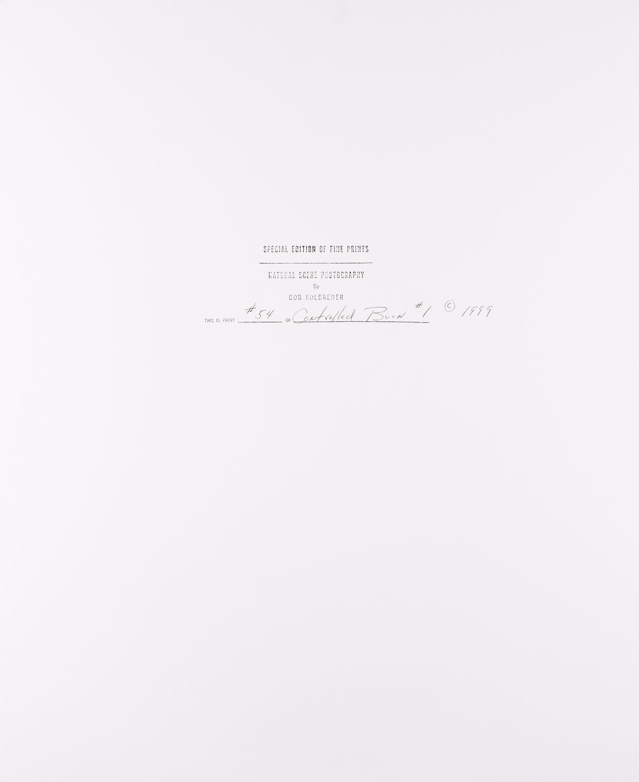 Bob Kolbrener, Controlled Burn #1, 1999