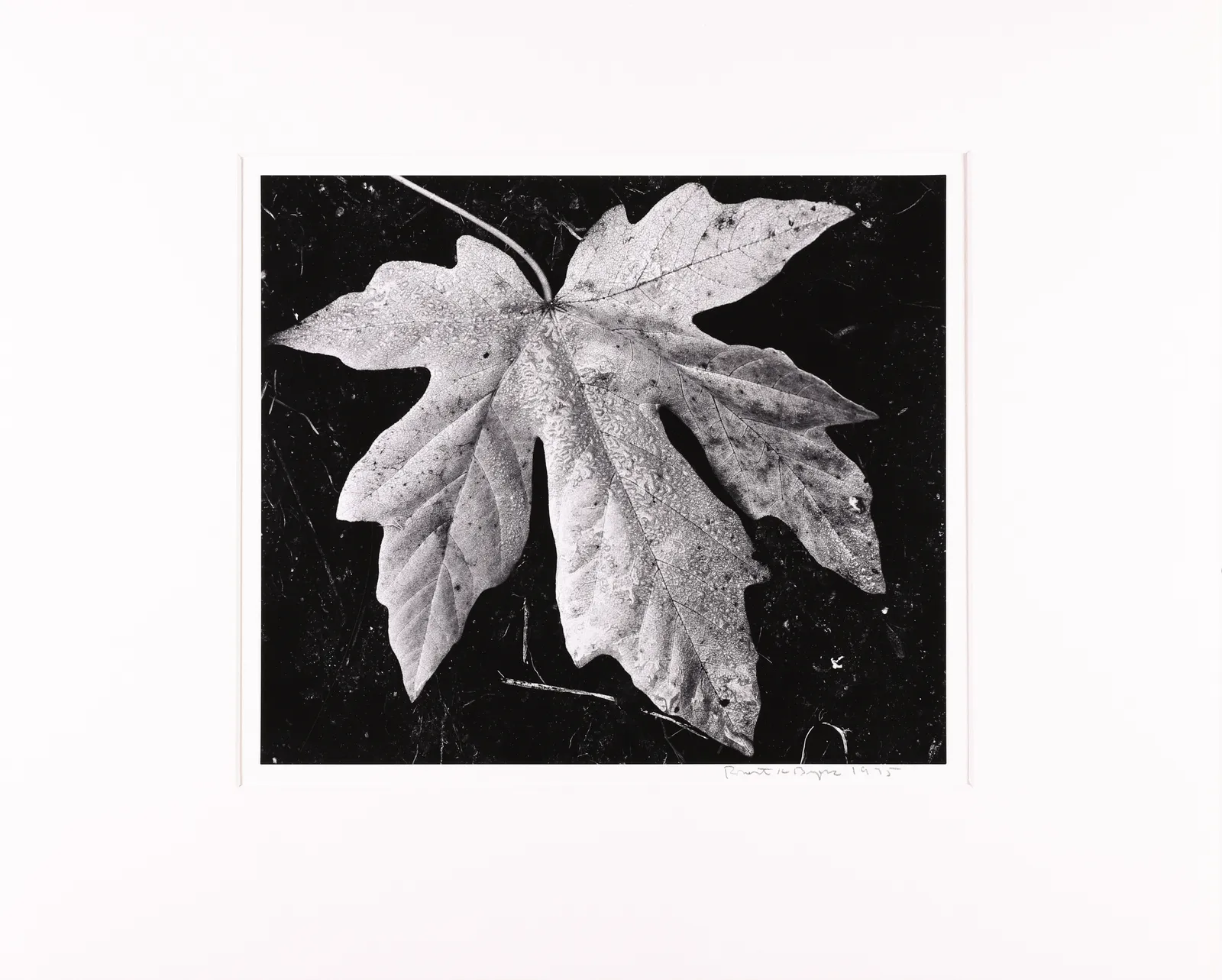 Robert K. Byers, Garland Ranch, Carmel Valley, 1975