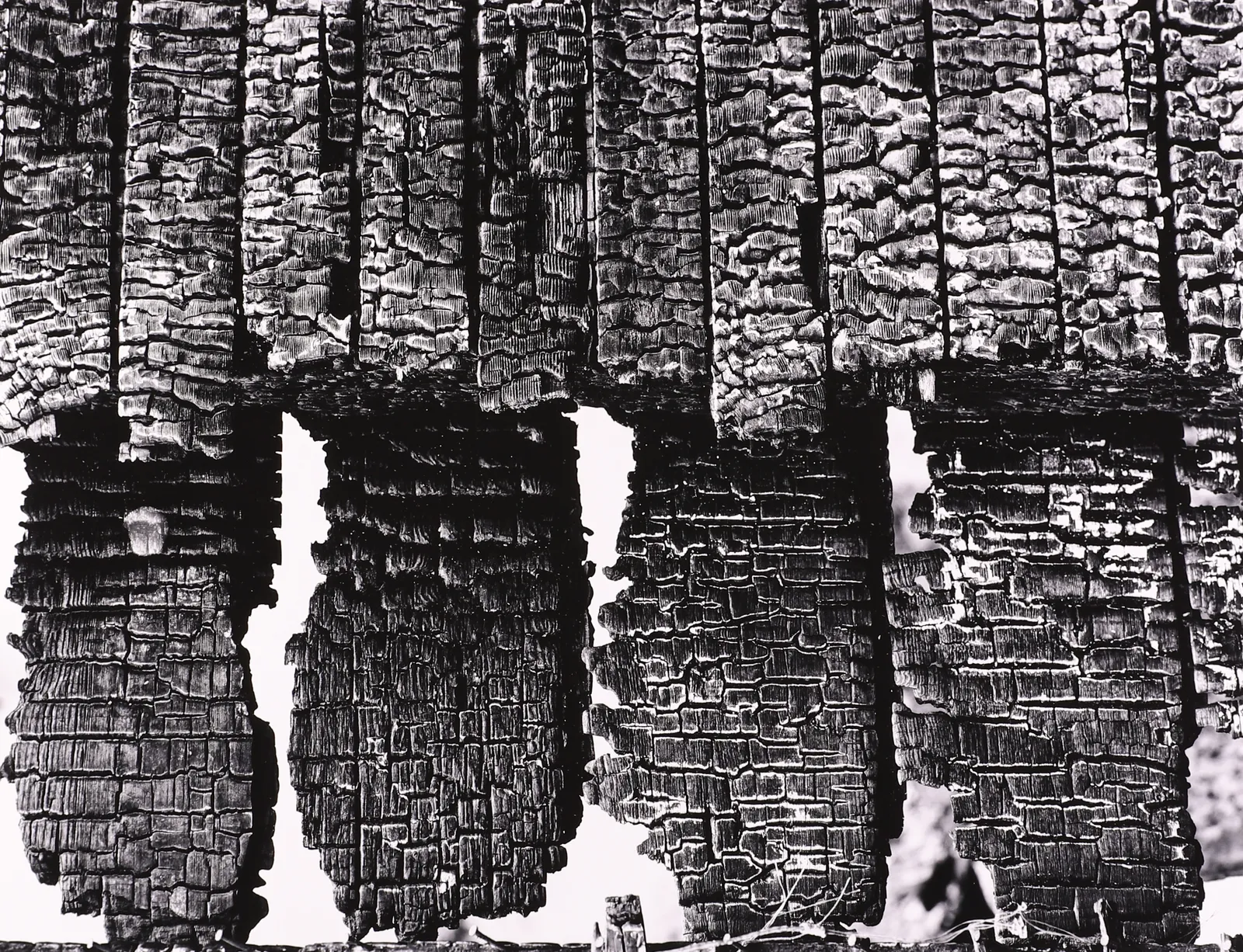 Brett Weston, Firesite Portfolio, 1992