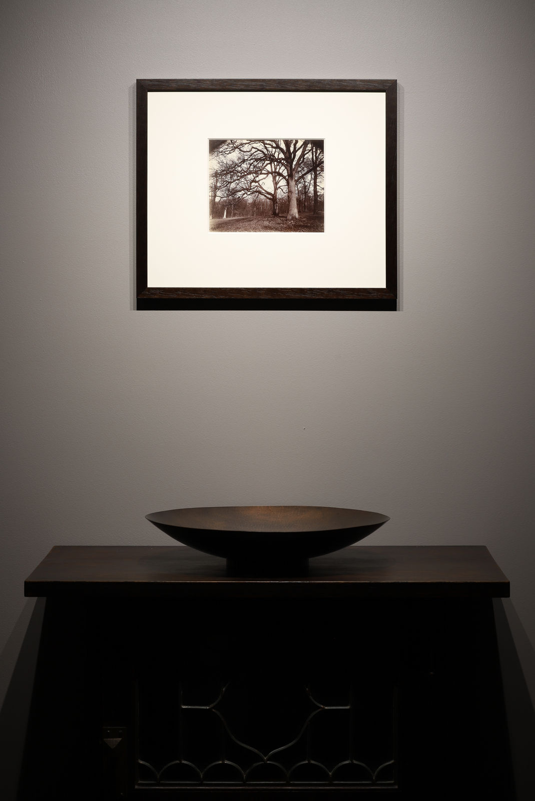 Eugene Atget, Trees, St. Cloud, 1915-19
