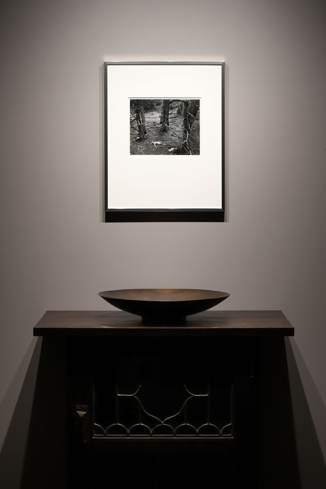 Wynn Bullock, Woman and Dog in Forest, 1953