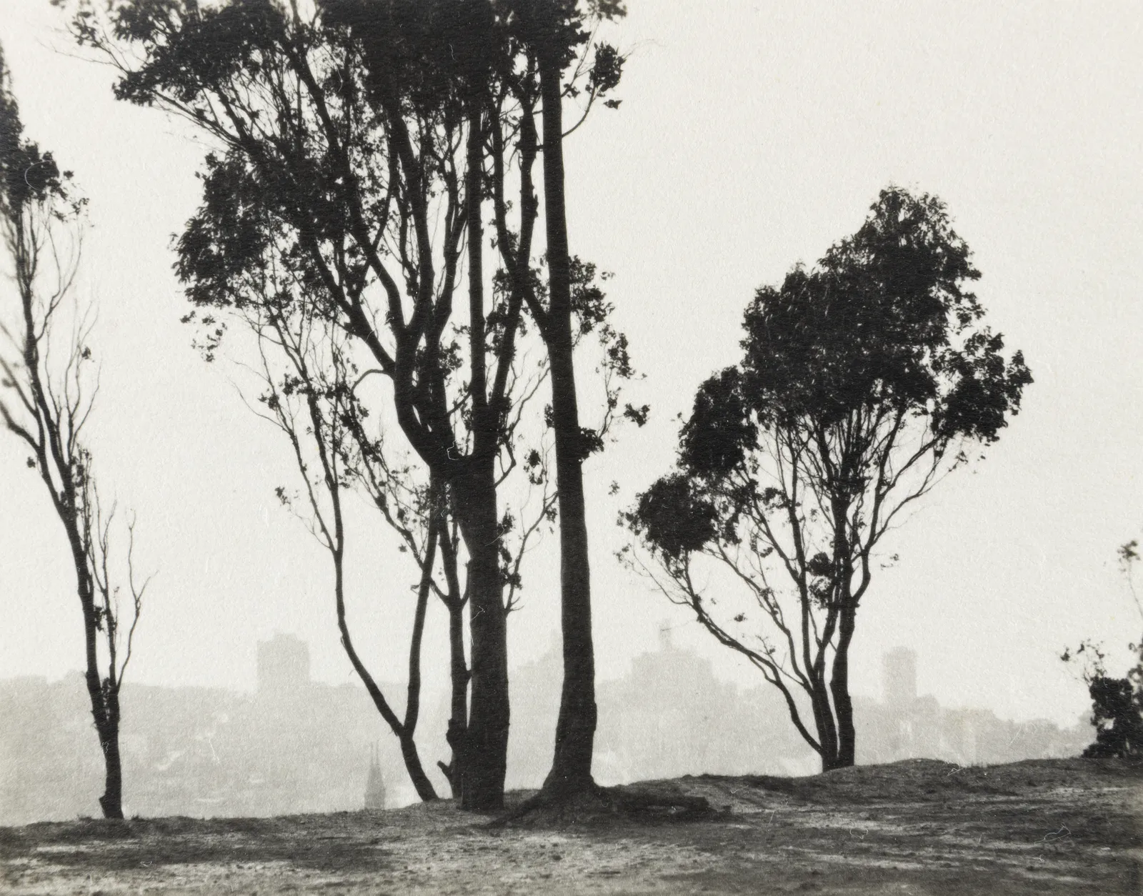 William E. Dassonville, San Francisco from Telegraph Hill, c. 1920s