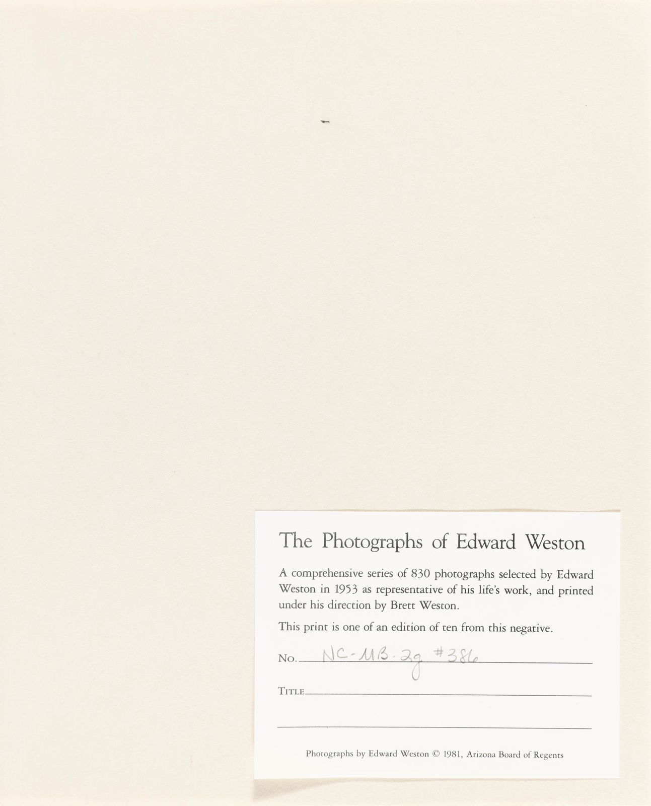 Edward Weston / Brett Weston, Moonstone Beach, 1937