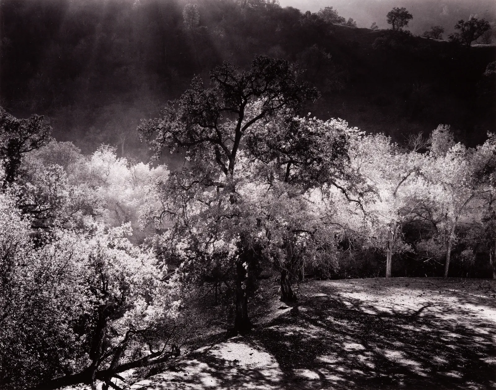 Morley Baer, Priest Valley, Coalinga, CA, 1977