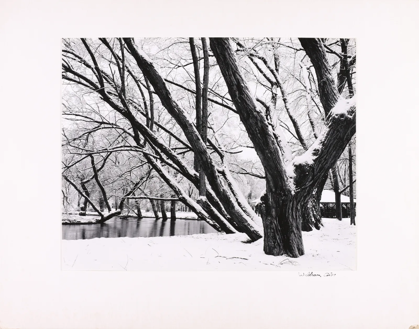William B. Giles, Snow and Trees , 1962