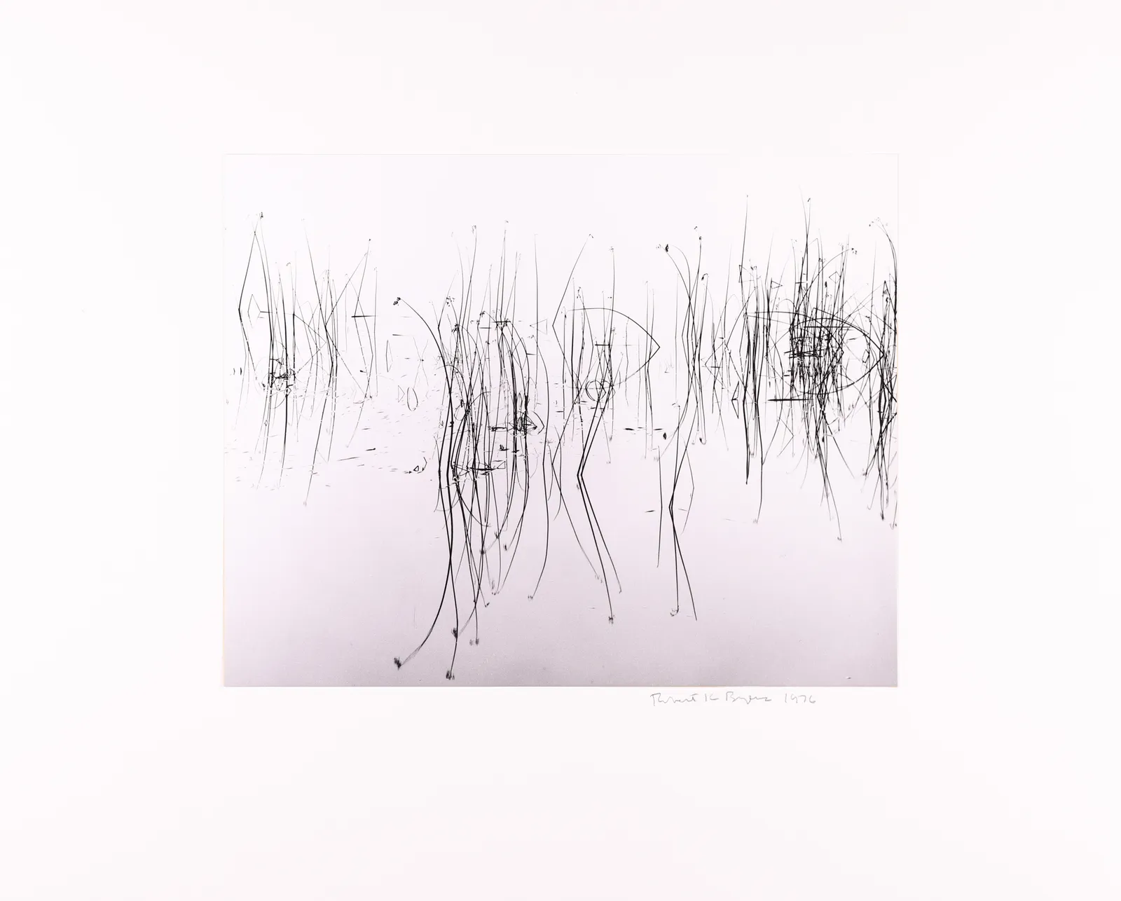 Robert K. Byers, Reeds in River, Astoria, Oregon, 1976