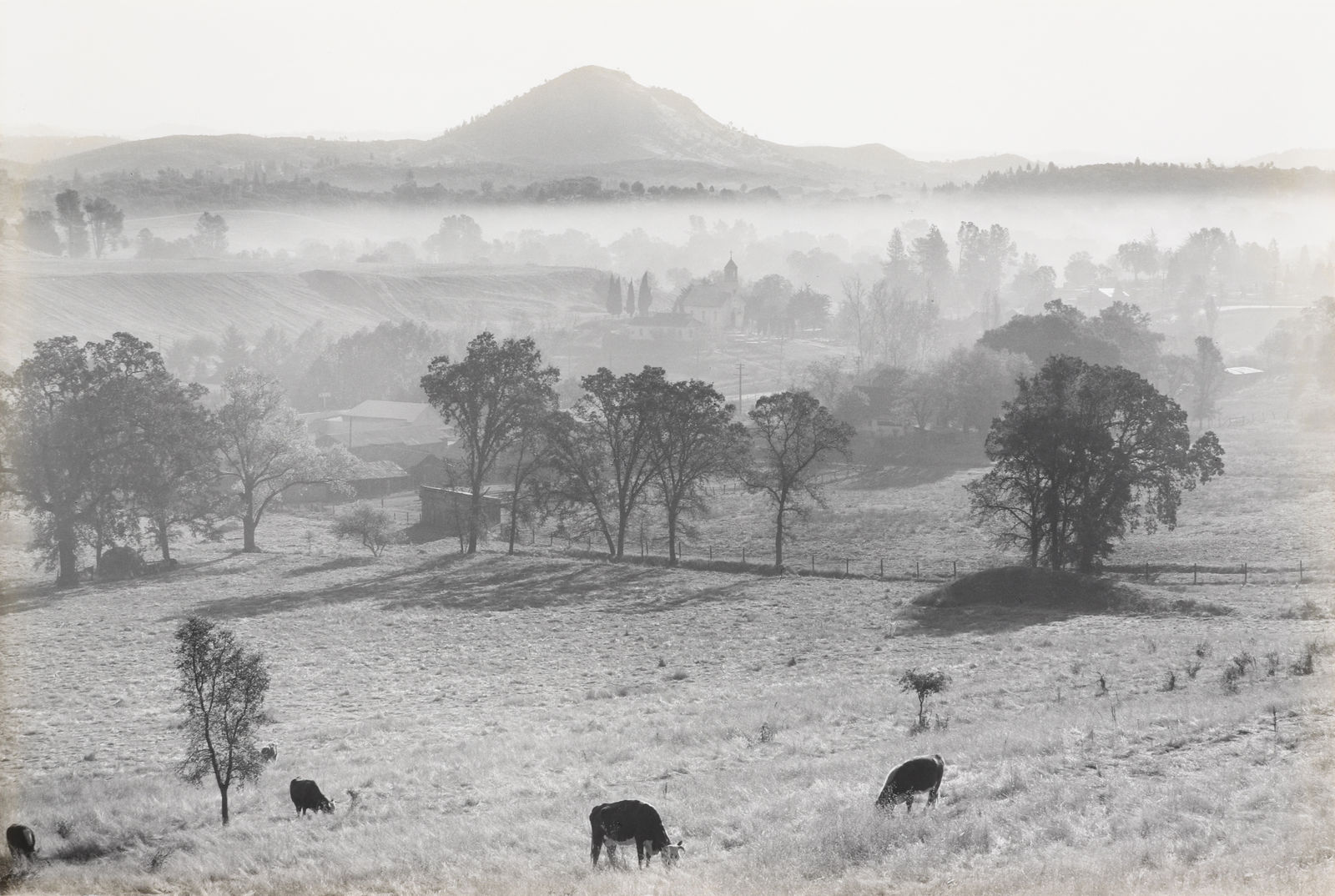 Pirkle Jones, Landscape, Jackson, CA, 1948