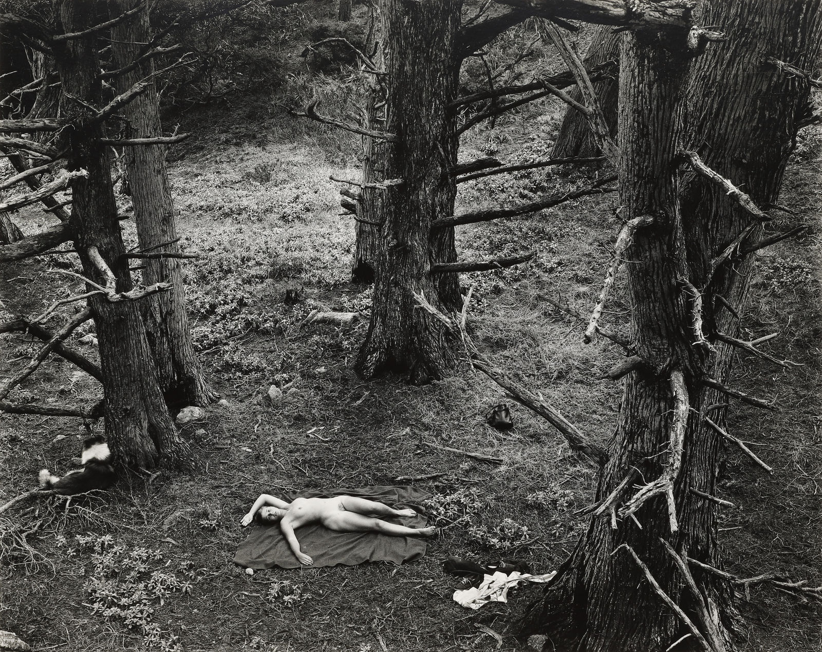 Wynn Bullock, Woman and Dog in Forest, 1953