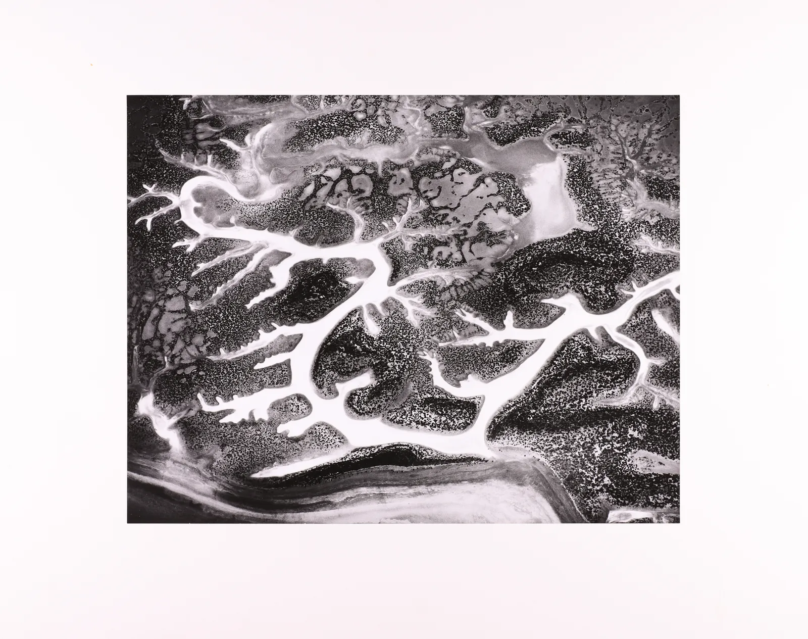 William Garnett, California, 1975