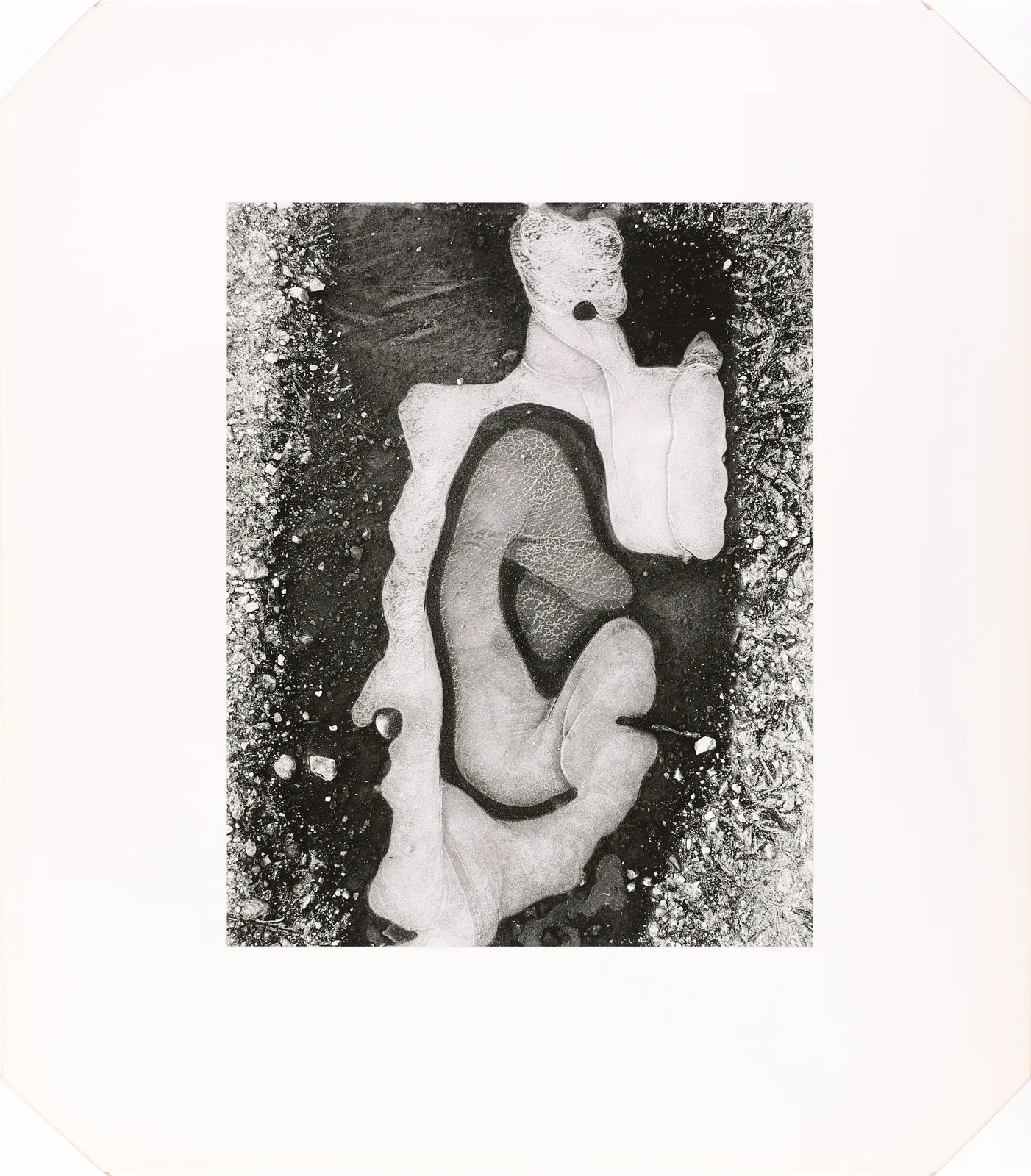 Brett Weston, Ice Form, 1956