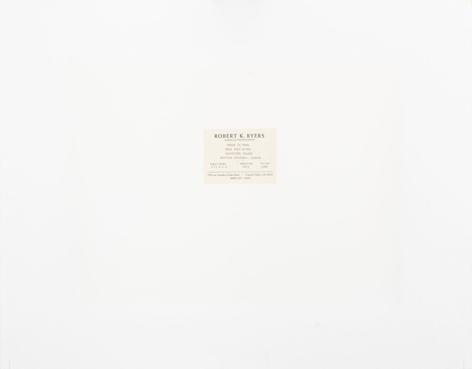 Robert K. Byers, Reeds in Pond, Vancouver, BC, 1973