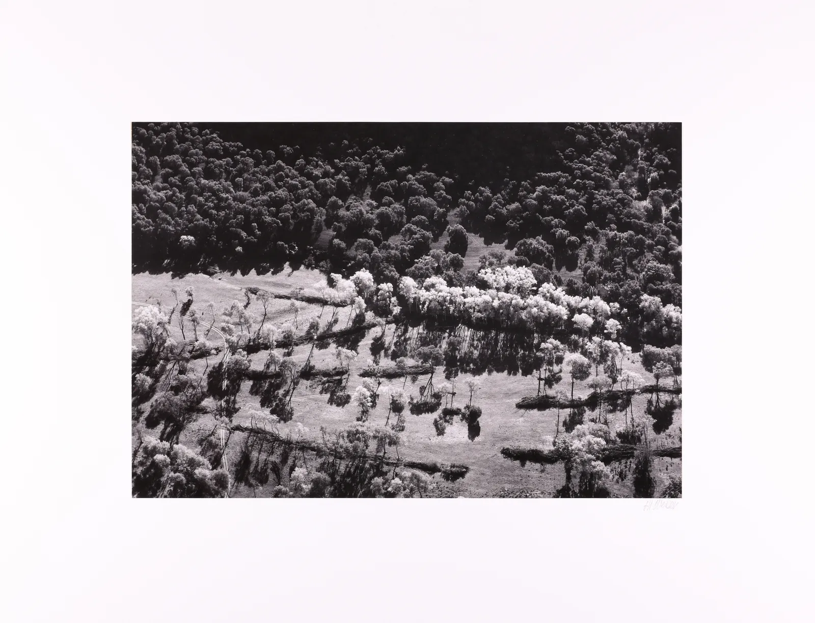 Brett Weston, Garland Memorial Portfolio, 1976