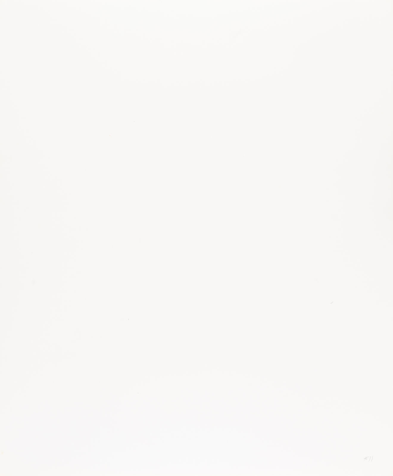 Paul Caponigro, Sunflower, Winthrop, MA, 1965