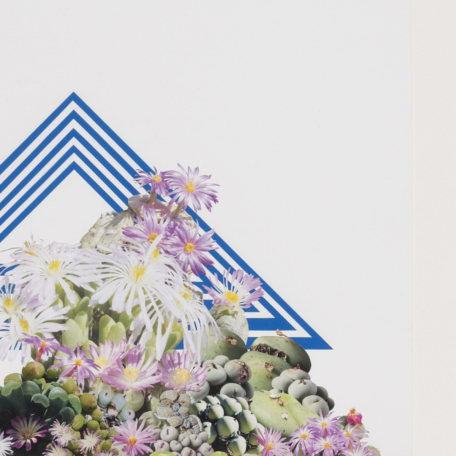 Stephen Eichhorn, Cono (Voidground), 2024