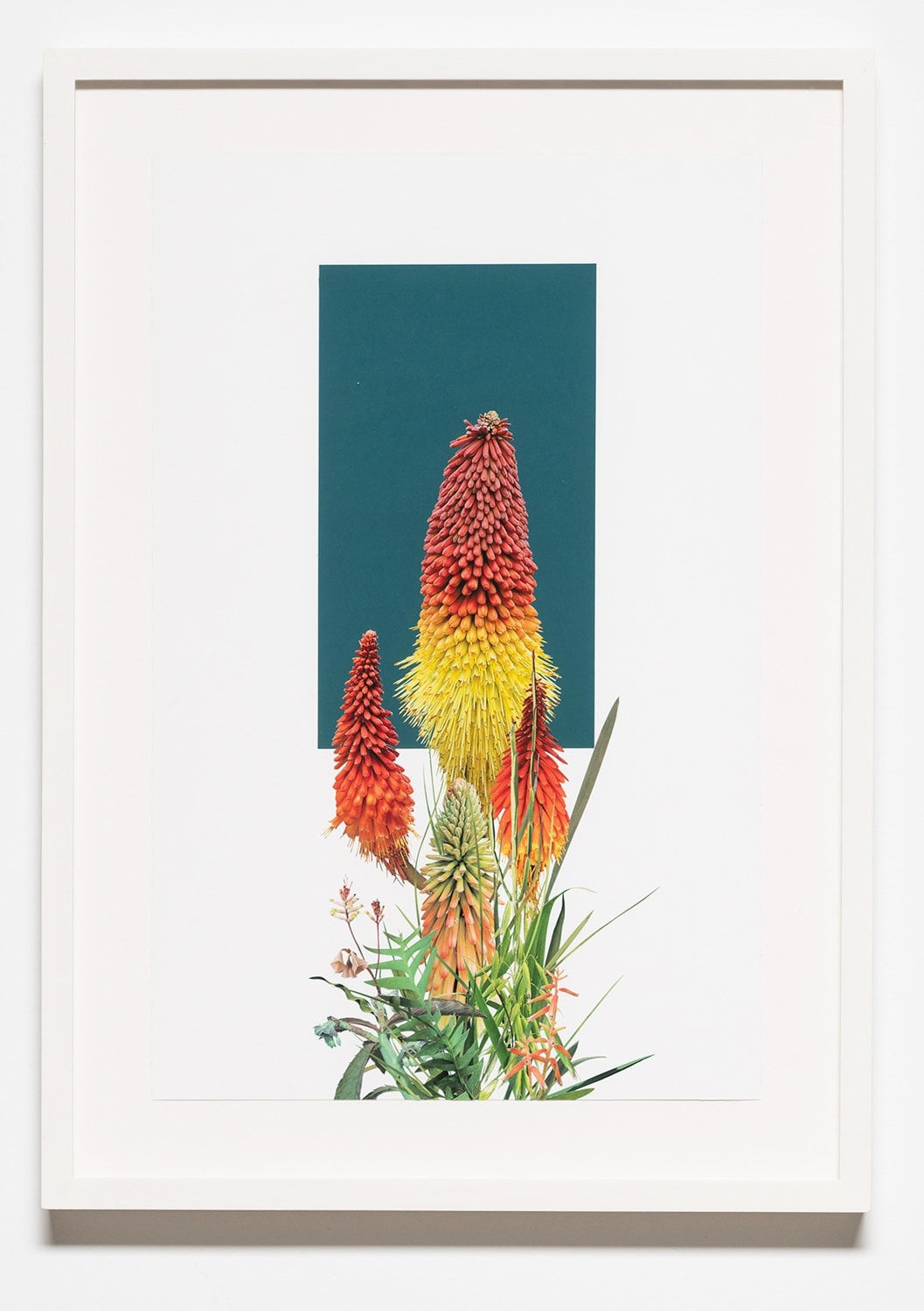 Stephen Eichhorn, The Garden (Voidground), 2024