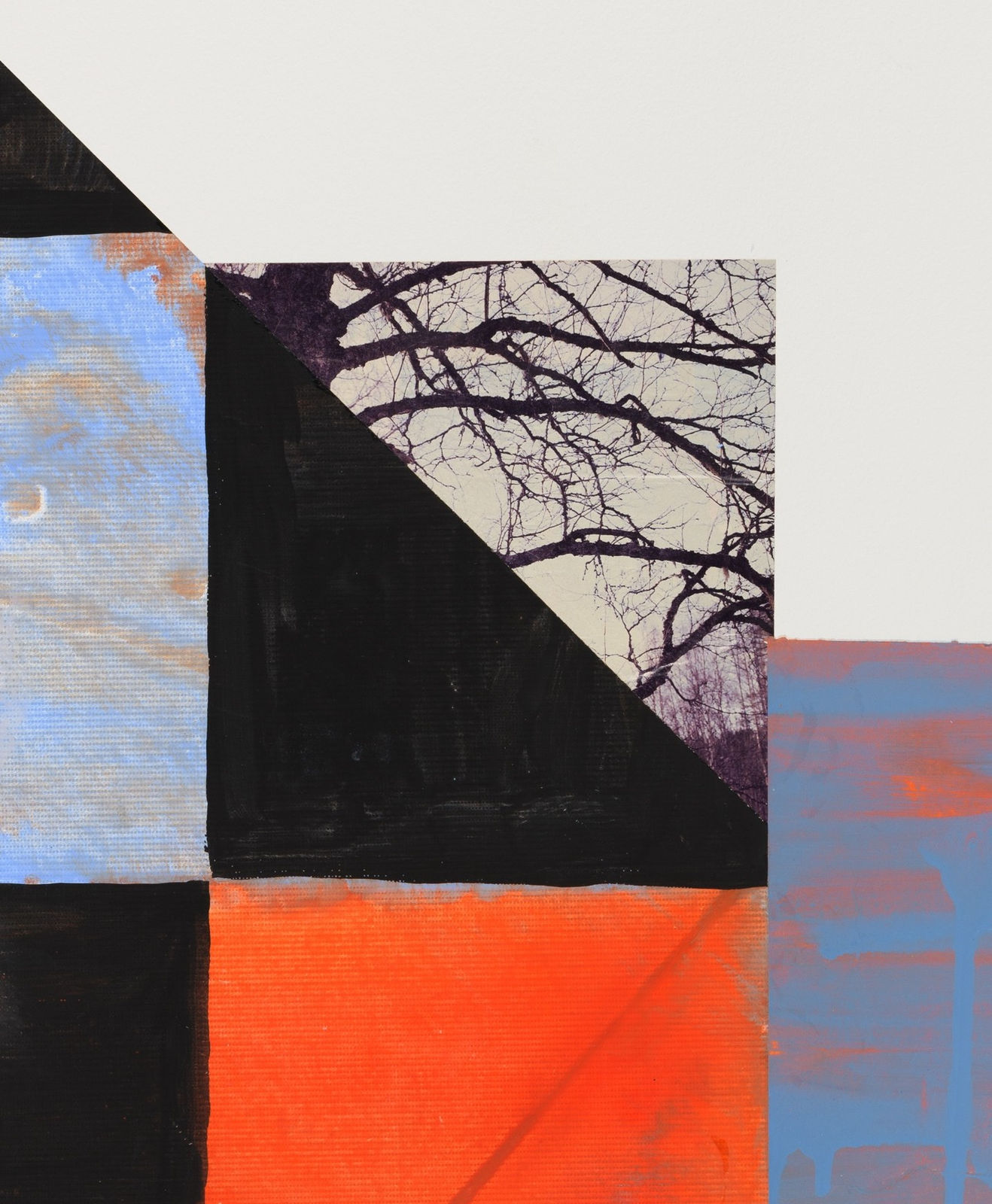 Diana Guerrero-Maciá, Paintings for Birds no. 11, 2024