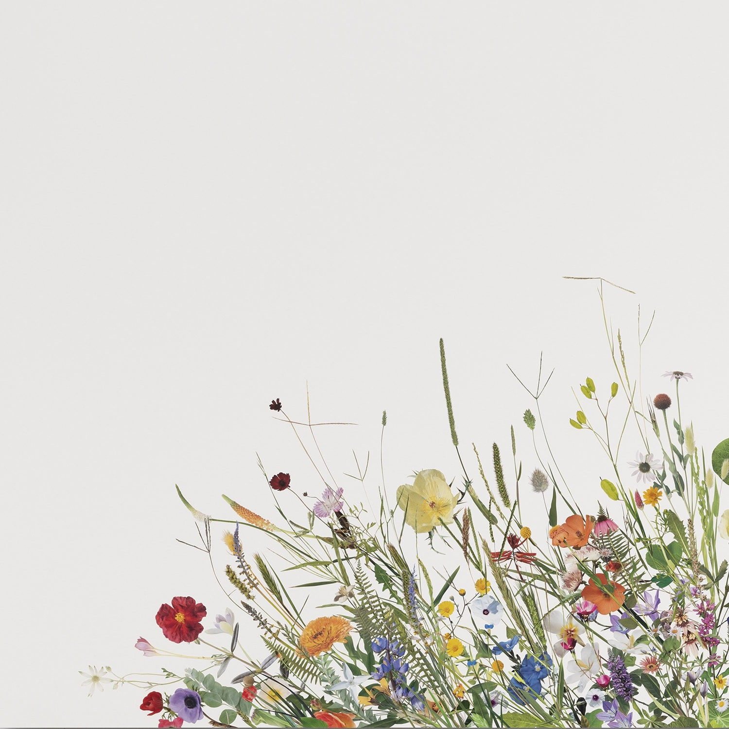 Stephen Eichhorn, In & Out of the Garden (Spring), 2023