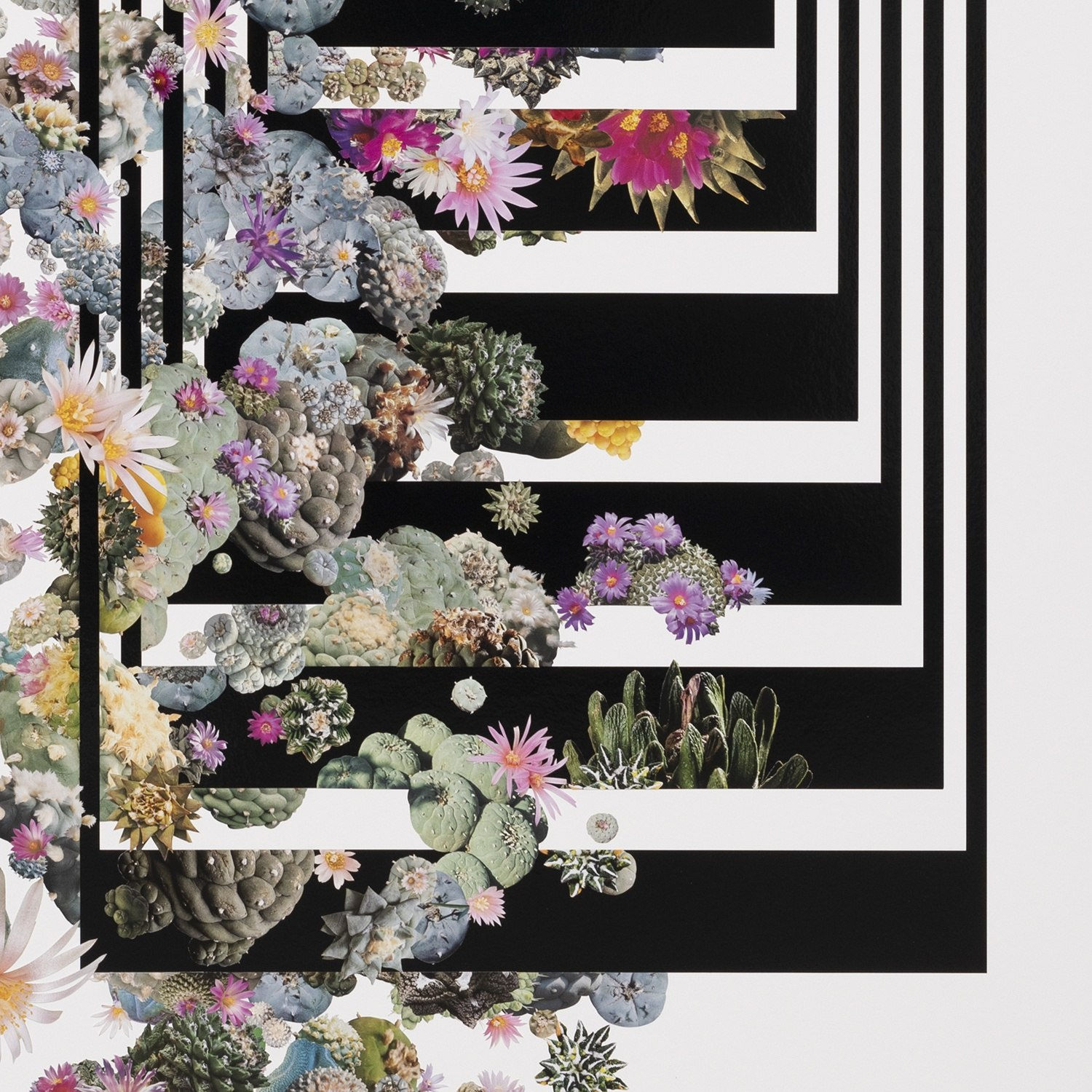 Stephen Eichhorn, Folding / Unfolding (Time), 2024