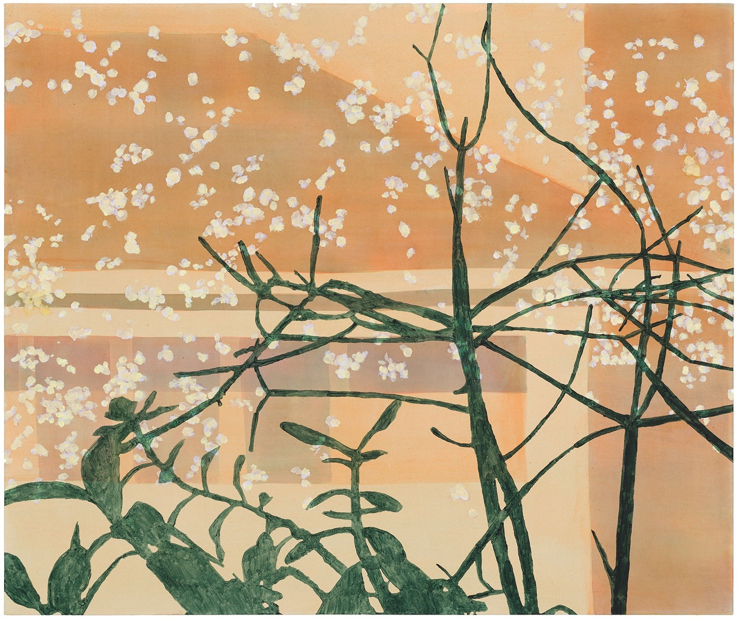 Olivia Schreiner, April 26, 2022, 6:44pm, 2022