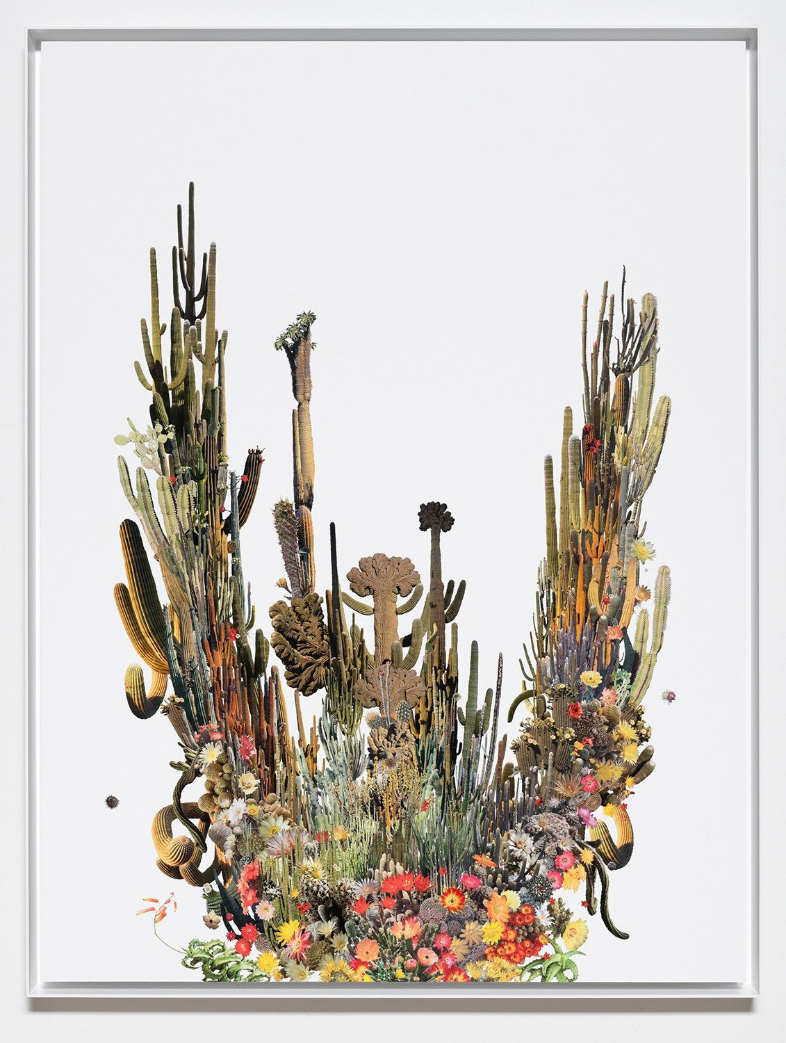 Stephen Eichhorn, Crested Columnar, 2023