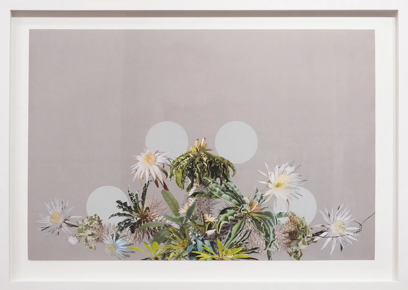 Stephen Eichhorn, Eight Flowers, 2026